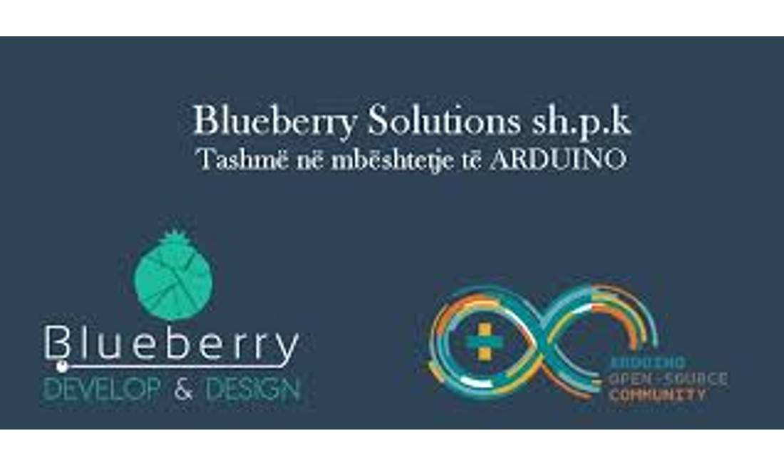 Blueberry Solutions shpk Ofron sherbime IT dhe MARKETING per biznese