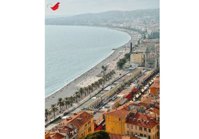 Sherbime Udhetimi dhe Transporti ne Tirane - 100 