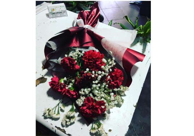 Holiday arrangements in Lezha - 0 