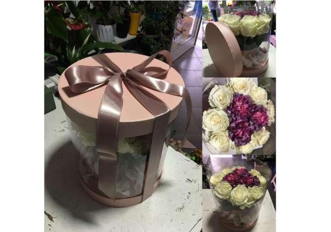 Holiday arrangements in Lezha - 0 