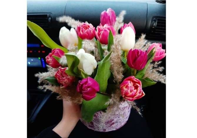 Holiday arrangements in Vlora - 0 