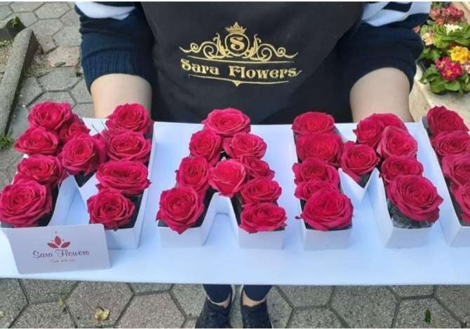 Holiday arrangements in Vlora - 0 