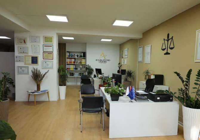 Legal Services in Tirana - 0 Leke
