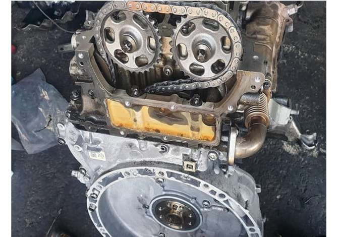 Car Service in Elbasan - 0 