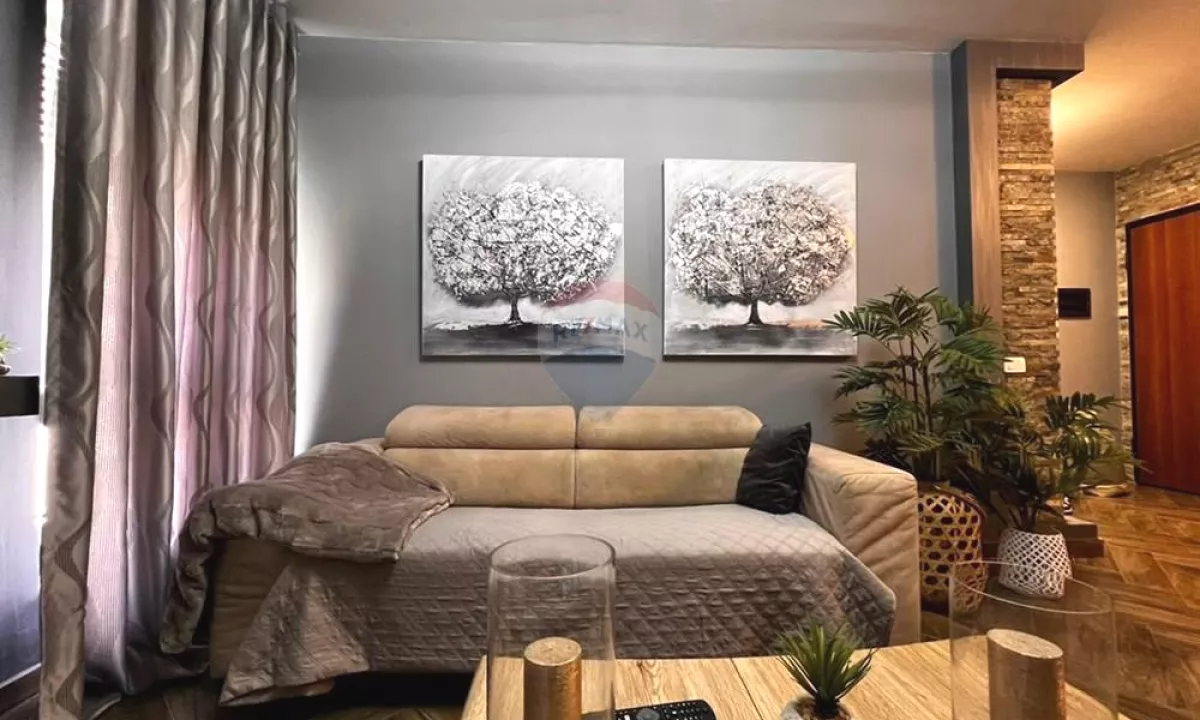 Shtepi me qera Apartament ne Tirane, 2+1, Mobilimi E mobiluar, Pagesa 700  Euro.