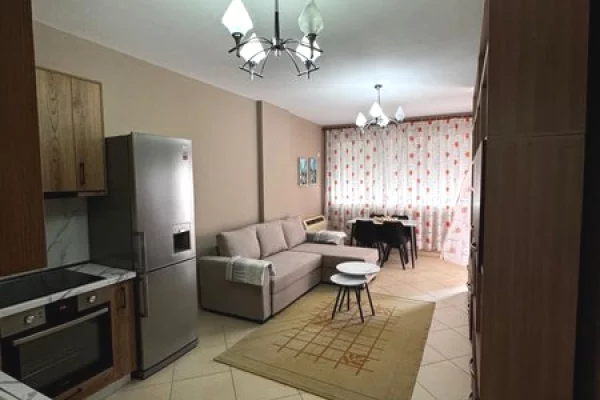 Shtepi me qera Apartament ne Tirane, 1+1, Mobilimi E mobiluar, Pagesa 450  Euro.