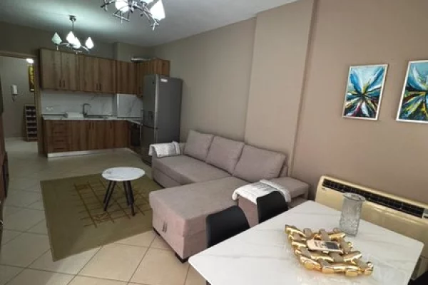 Shtepi me qera Apartament ne Tirane, 1+1, Mobilimi E mobiluar, Pagesa 450  Euro.