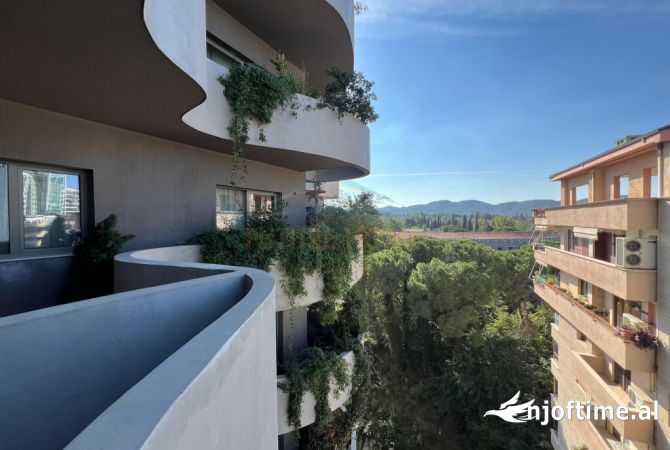 Qira, Zyrë, Lion Park 1