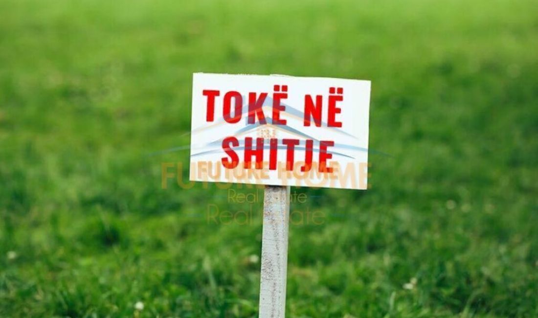 Shitet,Toke, Kashar,Tirane.