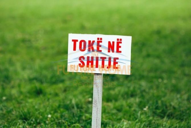 Shitet,Toke, Kashar,Tirane.