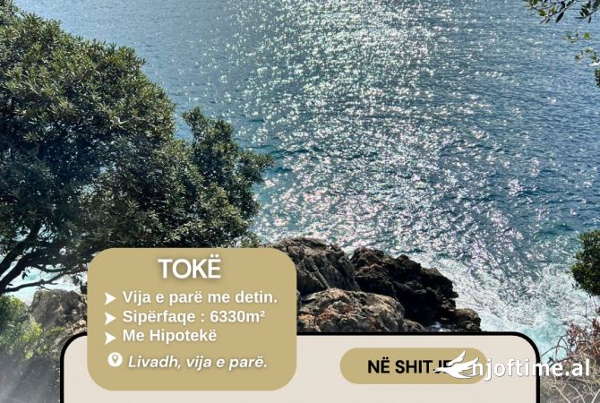 Toke ne shitje ne Livadh , vija e pare 