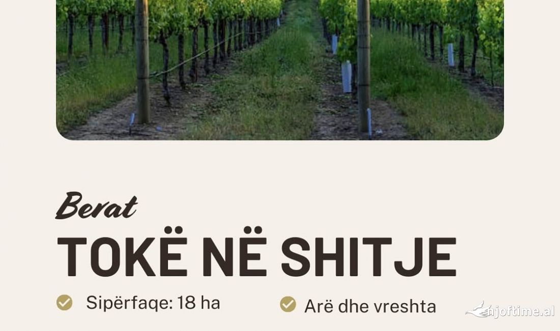 Toke ne shitje ne Berat 