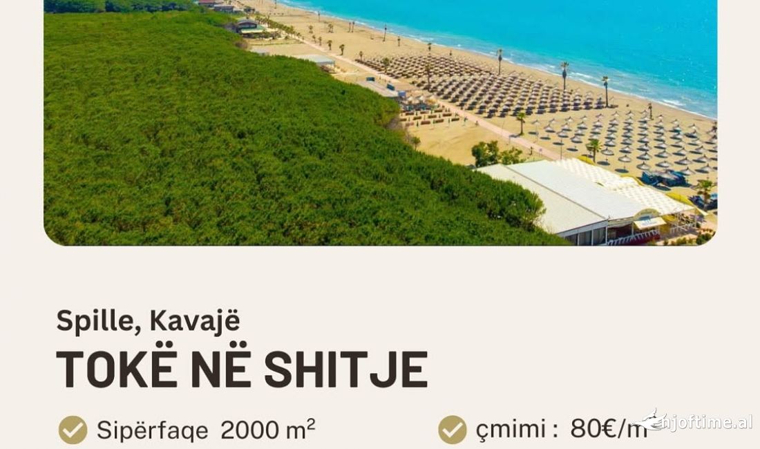 Toke ne shitje ne Spille 