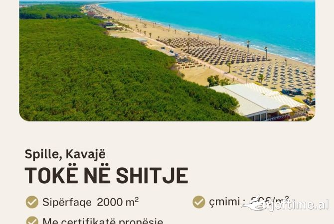 Toke ne shitje ne Spille 