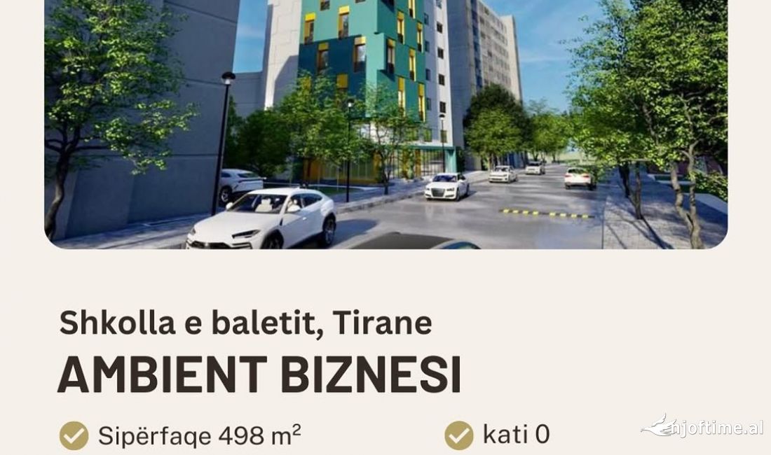 Ambjent bznesi ne shitje tek Shkolla e Baletit