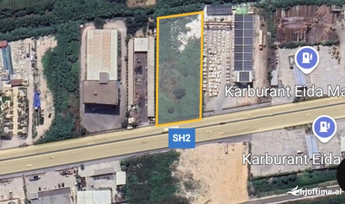 SHITET TOKE BUZE RRUGES KRYESORE TIRANE MAMINAS!