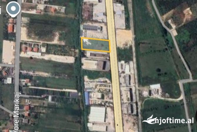 SHITET TOKE BUZE RRUGES KRYESORE TIRANE MAMINAS!