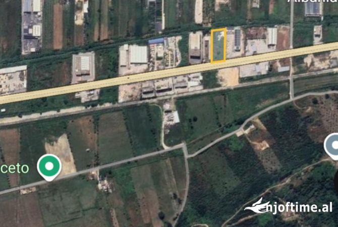 SHITET TOKE BUZE RRUGES KRYESORE TIRANE MAMINAS!