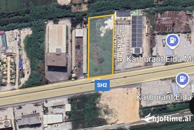 SHITET TOKE BUZE RRUGES KRYESORE TIRANE MAMINAS!