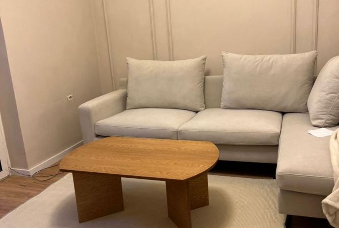 Shtepi me qera Apartament ne Tirane, 1+1, Mobilimi E mobiluar, Pagesa 550  Euro.