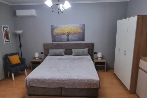 Shtepi me qera Apartament ne Tirane, 1+1, Mobilimi E mobiluar, Pagesa 60,000  Leke.