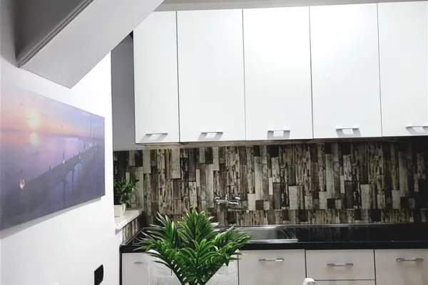 Shtepi me qera Apartament ne Tirane, 1+1, Mobilimi E mobiluar, Pagesa 65,000  Leke.