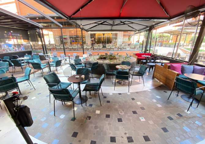 Ambient biznesi me qera 2+1 ne Tirane - 750 Euro