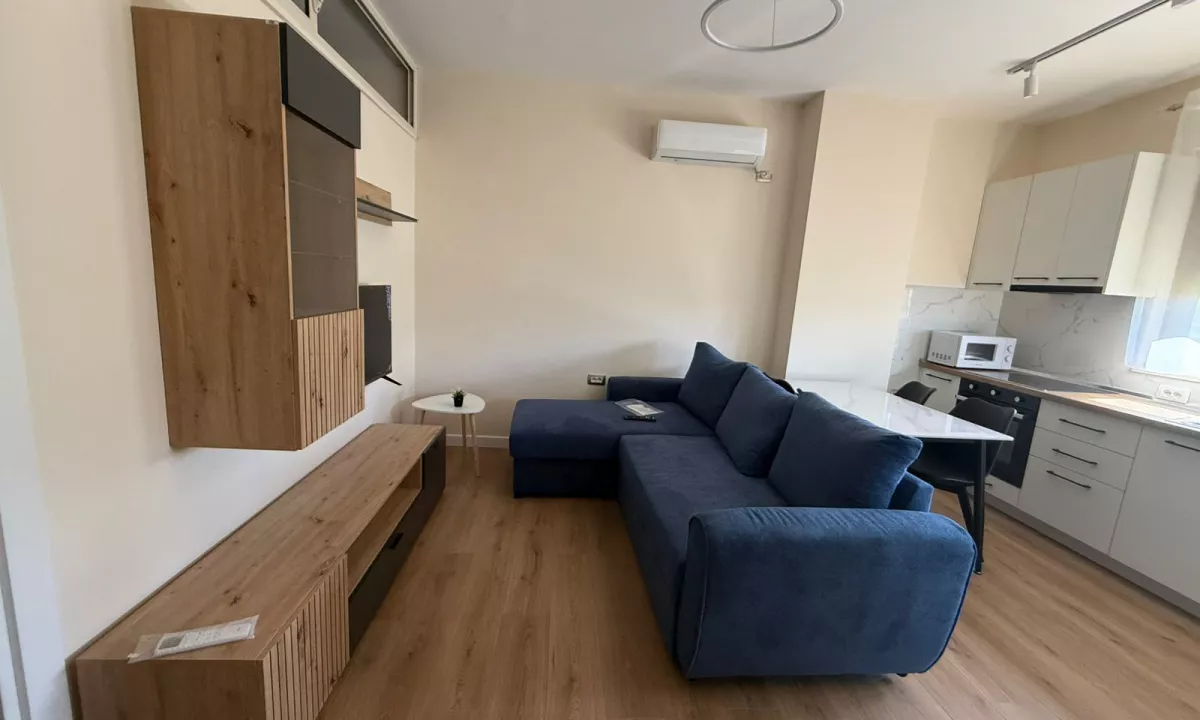 Shtepi me qera Apartament ne Tirane, 1+1, Mobilimi E mobiluar, Pagesa 500  Euro.