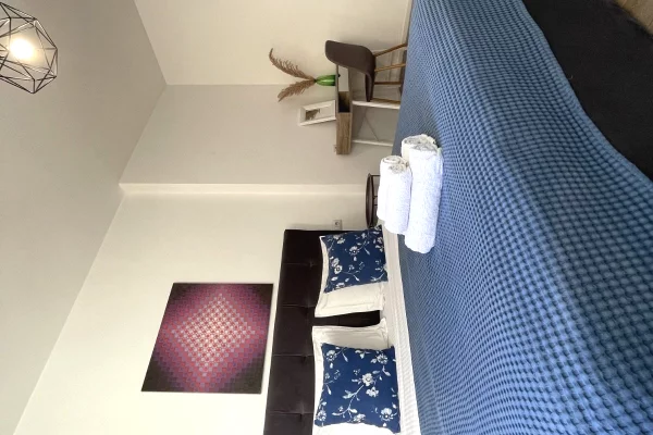 Shtepi me qera Apartament ne Tirane, 1+1, Mobilimi E mobiluar, Pagesa 599  Euro.