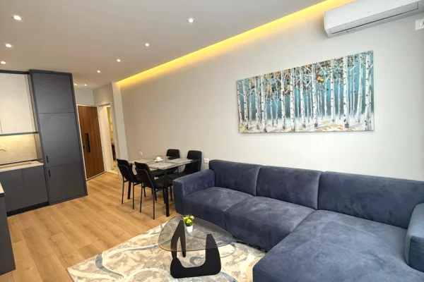Apartment for sale in Tirana 1+1, Furnished