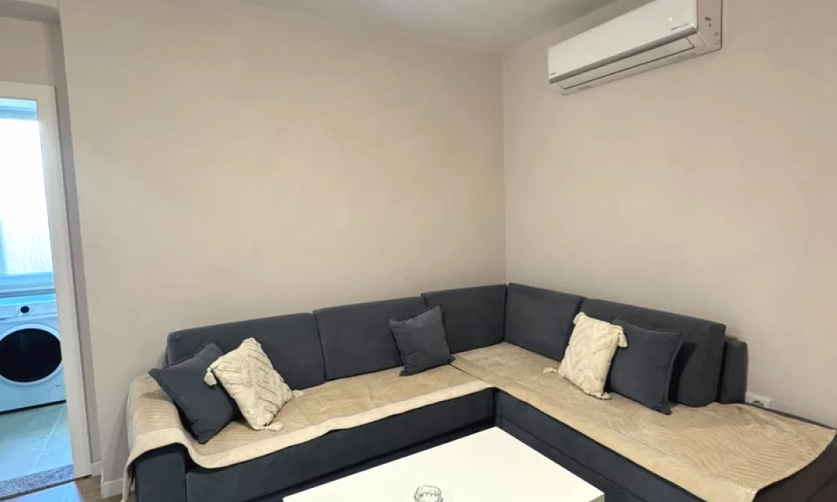 Shtepi me qera Apartament ne Tirane, 1+1, Mobilimi E mobiluar, Pagesa 650  Euro.