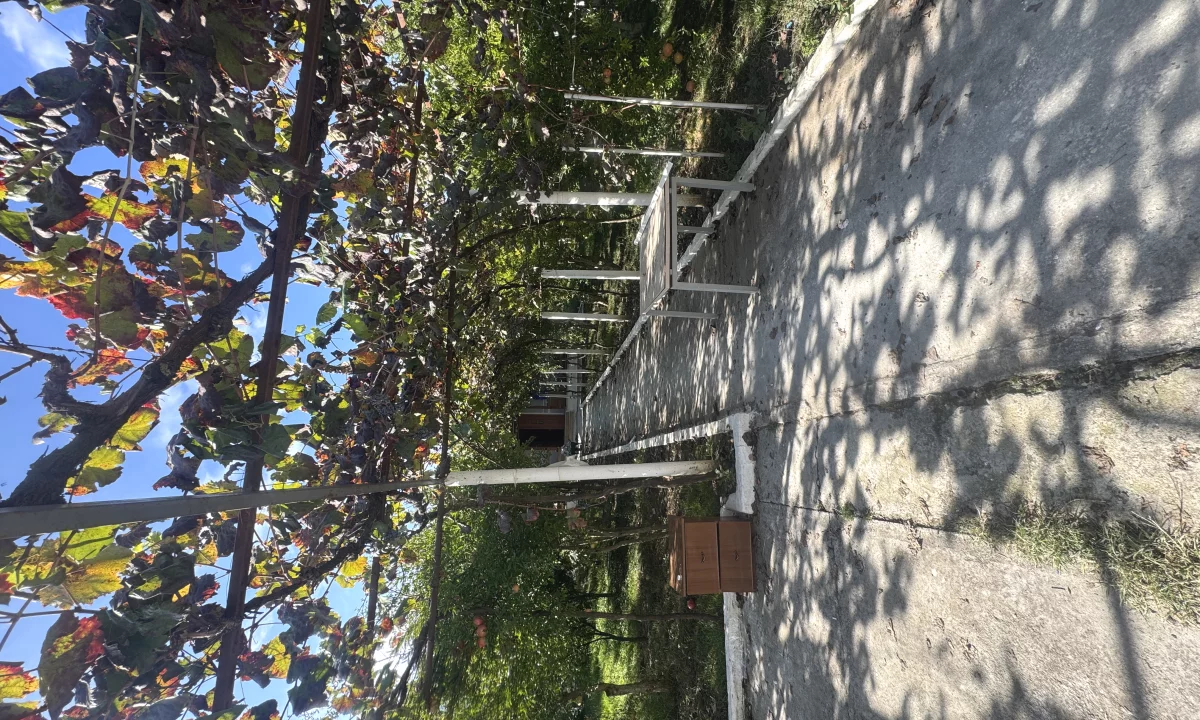 Shtepi me qera Shtepi Private ne Tirane, 3+1, Mobilimi E mobiluar, Pagesa 600  Euro.