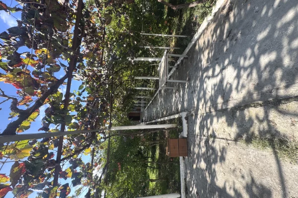 Shtepi private 3+1 me Qera prane Casa Italia