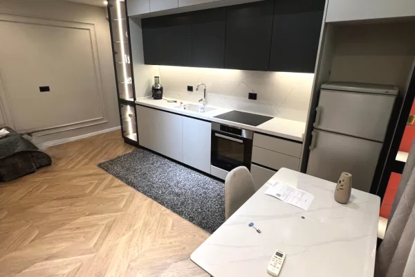 Shtepi me qera Apartament ne Tirane, 1+1, Mobilimi E mobiluar, Pagesa 650  Euro.