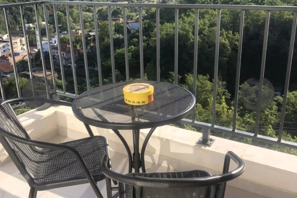 Shtepi ne shitje Apartament ne Tirane, 1+1, Mobilimi E mobiluar, Pagesa 102,000  Euro.