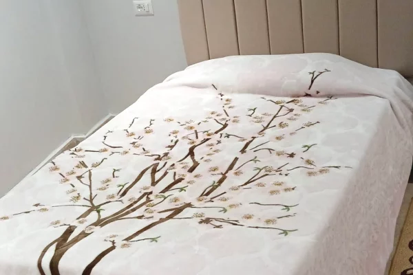 Shtepi me qera Apartament ne Tirane, 2+1, Mobilimi E mobiluar, Pagesa 420  Euro.