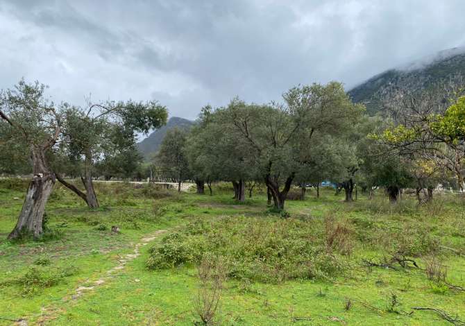 Land for Sale in Himara - 110,000 Euro