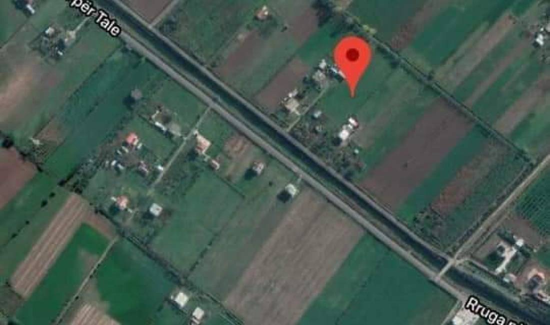 Toke ne shitje ne Tale, Lezhe (ID 21116)