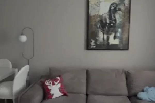 Shtepi me qera Apartament ne Tirane, 1+1, Mobilimi E mobiluar, Pagesa 600  Euro.