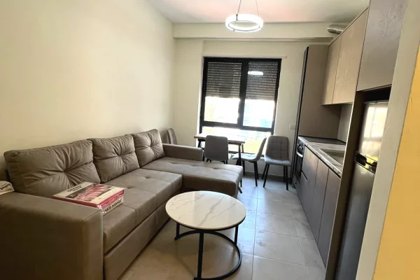 Shtepi me qera Apartament ne Tirane, 1+1, Mobilimi E mobiluar, Pagesa 750  Euro.
