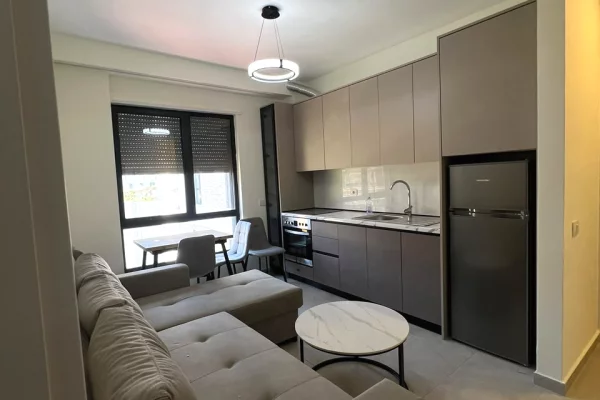 Shtepi me qera Apartament ne Tirane, 1+1, Mobilimi E mobiluar, Pagesa 750  Euro.