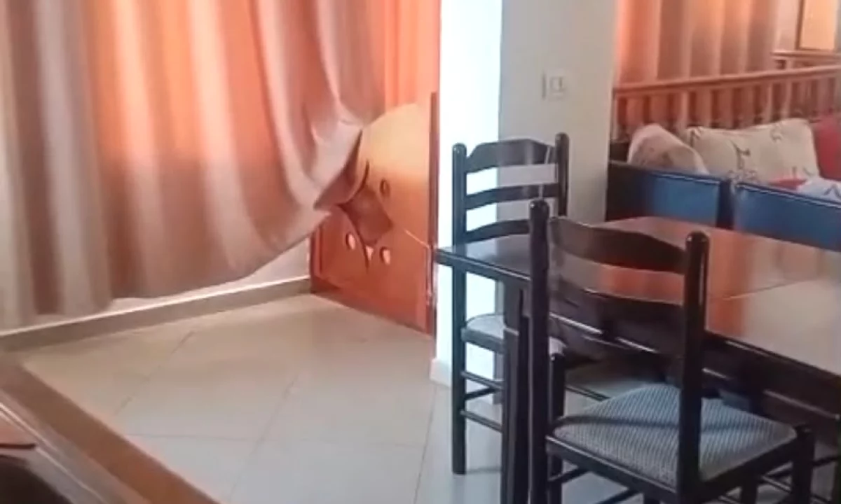 Shtepi me qera Apartament ne Tirane, 2+1, Mobilimi E mobiluar, Pagesa 500  Euro.