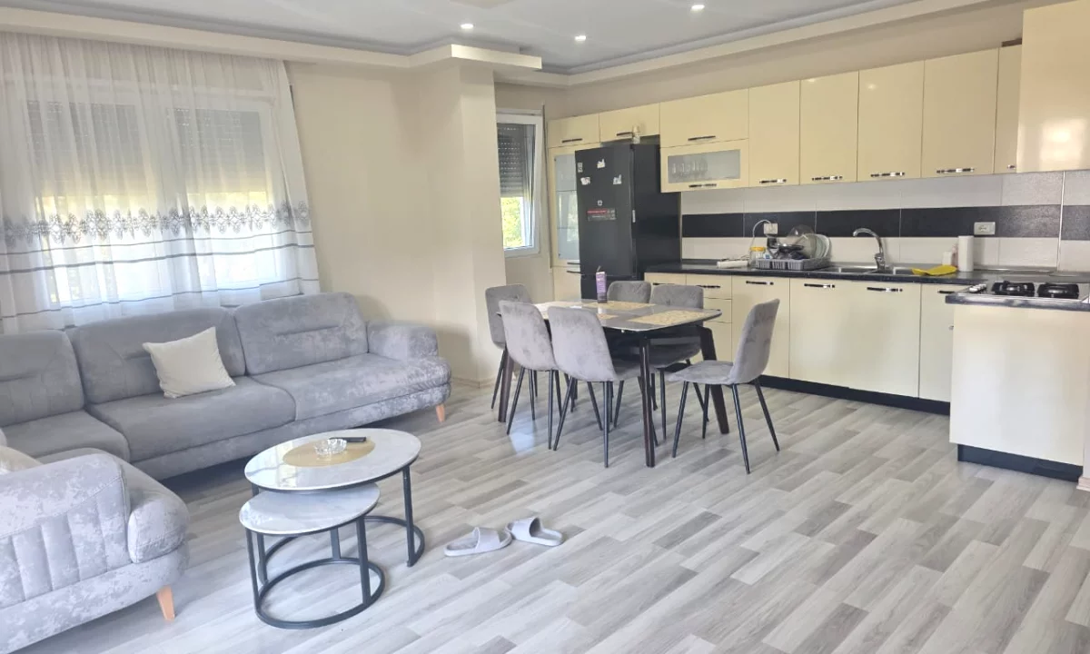 Shtepi me qera Apartament ne Tirane, 2+1, Mobilimi E mobiluar, Pagesa 500  Euro.
