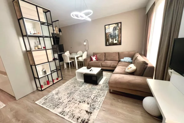 Shtepi me qera Apartament ne Tirane, 1+1, Mobilimi E mobiluar, Pagesa 55,000  Leke.