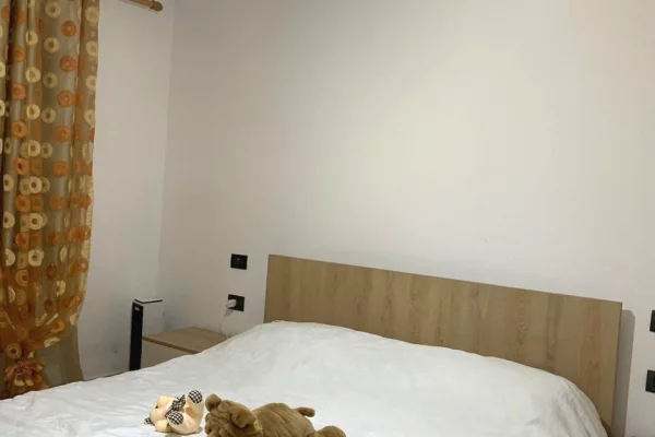 Shtepi me qera Apartament ne Tirane, 1+1, Mobilimi E mobiluar, Pagesa 40,000  Leke.