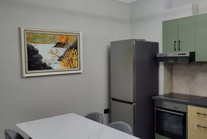 Shtepi me qera Apartament ne Tirane, 1+1, Mobilimi E mobiluar, Pagesa 450  Euro.