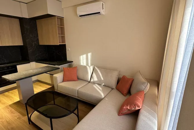 Shtepi ne shitje Apartament ne Tirane, 1+1, Mobilimi E mobiluar, Pagesa 100,000  Euro.