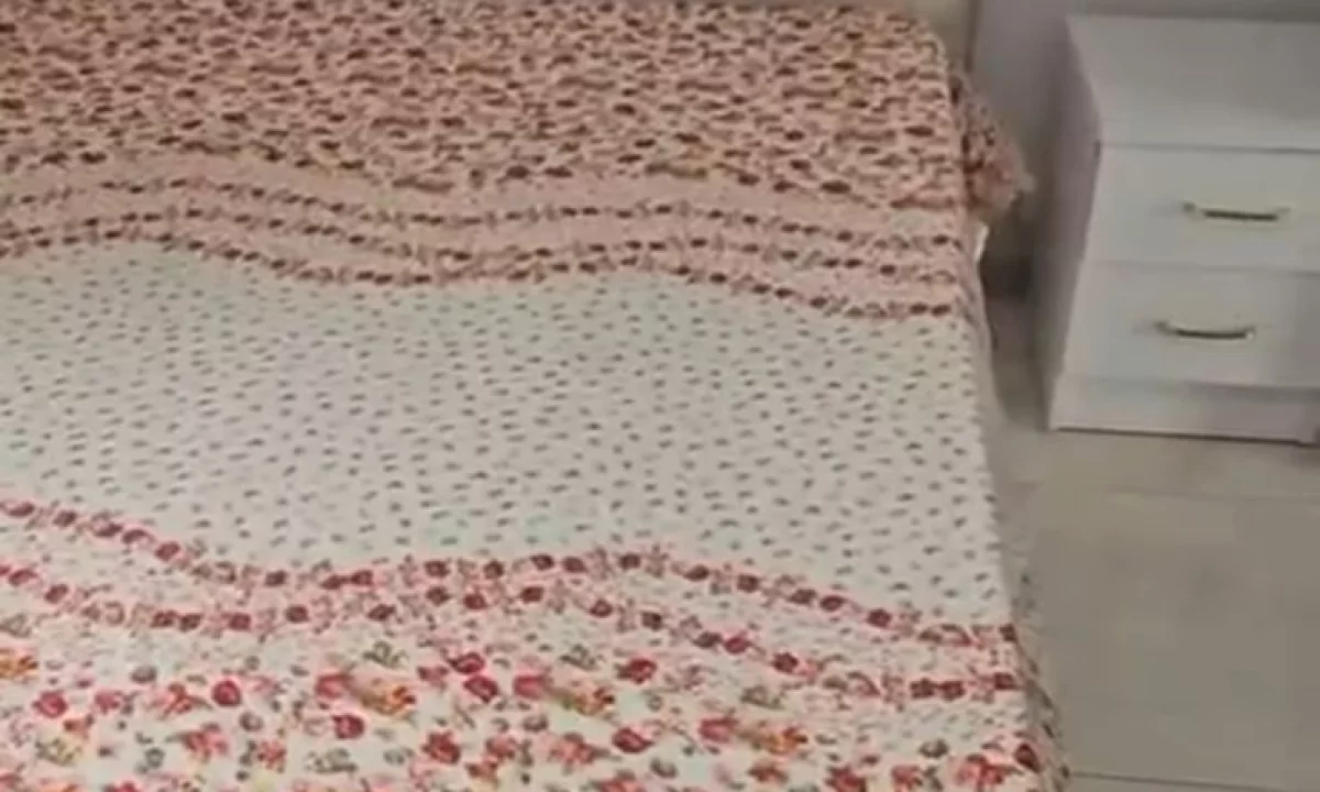 Appartamento in affitto a Tirana 1+1, Arredato