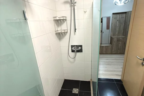 Shtepi me qera Apartament ne Tirane, 1+1, Mobilimi E mobiluar, Pagesa 55,000  Leke.