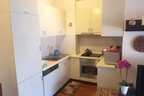 Shtepi me qera Apartament ne Tirane, 1+1, Mobilimi E mobiluar, Pagesa 800  Euro.